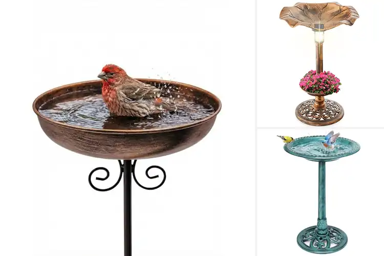 Detailed view of Best Bird Baths For Gardens