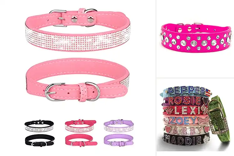 Detailed view of Best Bling Dog Collars