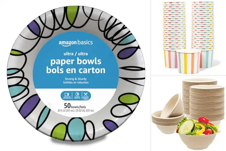 Detailed view of Best Disposable Bowls For Parties