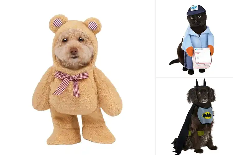 Detailed view of Best Dog Costumes: 10 Adorable & Comfy Outfits for Your Pet