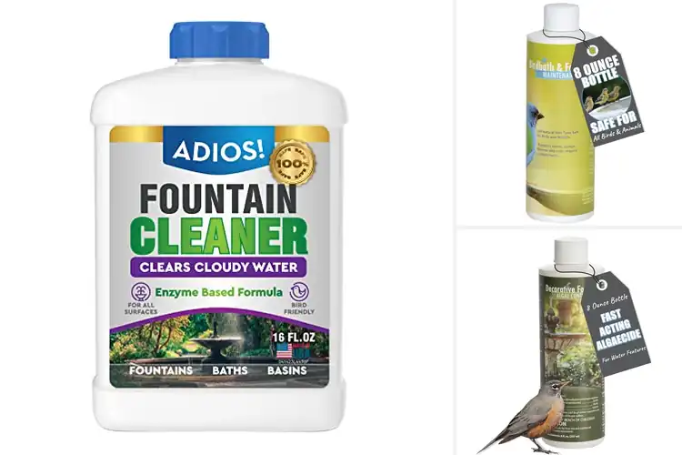 Detailed view of Best Fountain Cleaners