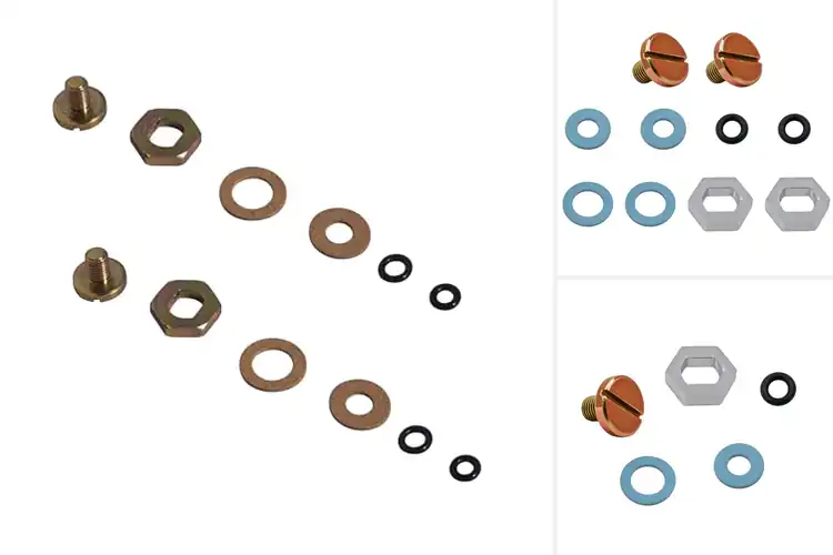 Detailed view of Best Fuel Valve Seat Lockscrew Kits