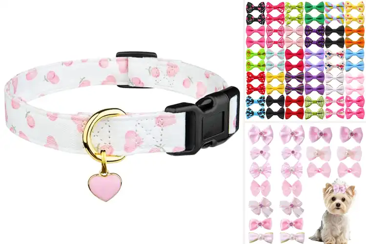 Detailed view of Best Handmade Dog Accessories
