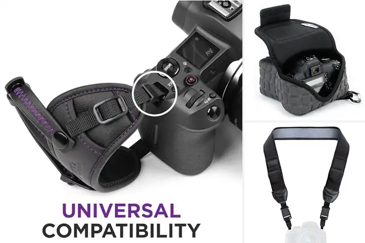 Detailed view of Best Mirrorless Camera Gear