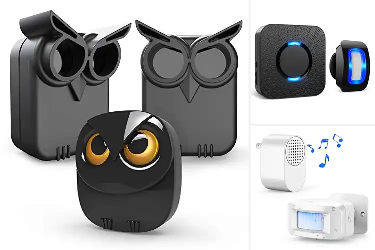 Detailed view of Best Motion Detections for Smarter Home Safety