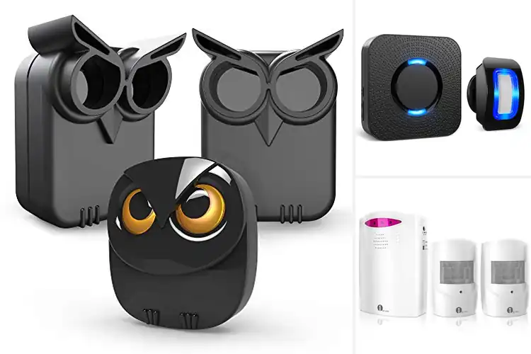 Detailed view of Best Motion Detectors
