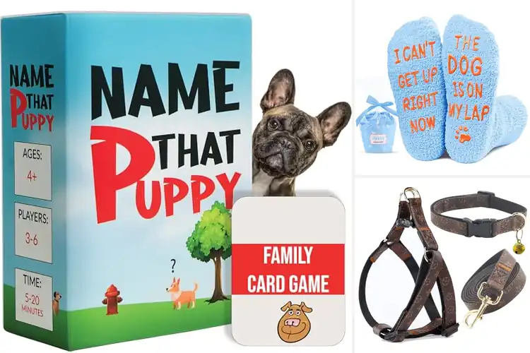 Detailed view of Best Pair Gift For Girl Boy Dogs