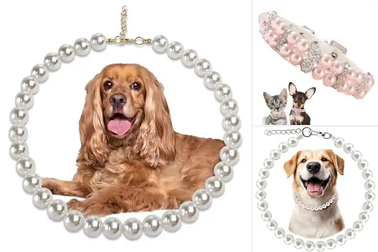Detailed view of Best Pearl Dog Collars