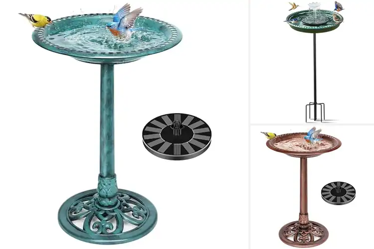 Detailed view of Best Solar Powered Bird Baths: Eco-Friendly Garden Upgrades